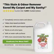 Load image into Gallery viewer, PawLab 5L Urine Stain &amp; Odour Remover Ready To Use Formula