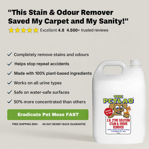 PetLab 5L Urine Stain & Odour Remover Ready To Use Formula