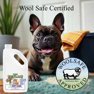 Carpet Cleaning Bundle