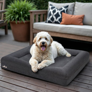 PetLab SeasonSmart™ Orthopaedic Memory Foam Dog Bed