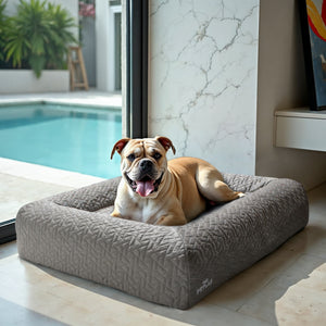 PetLab SeasonSmart™ Orthopaedic Memory Foam Dog Bed