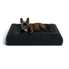 Load image into Gallery viewer, PetLab SeasonSmart™ Dog Bed