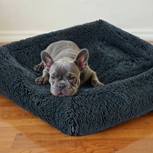 Load image into Gallery viewer, PetLab SeasonSmart™ Orthopaedic Memory Foam Dog Bed