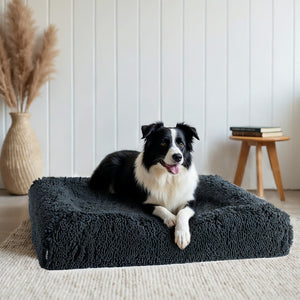 PetLab SeasonSmart™ Dog Bed