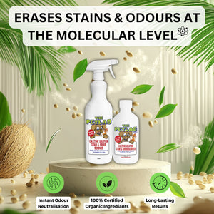 Stain & Odour Refill Bundle