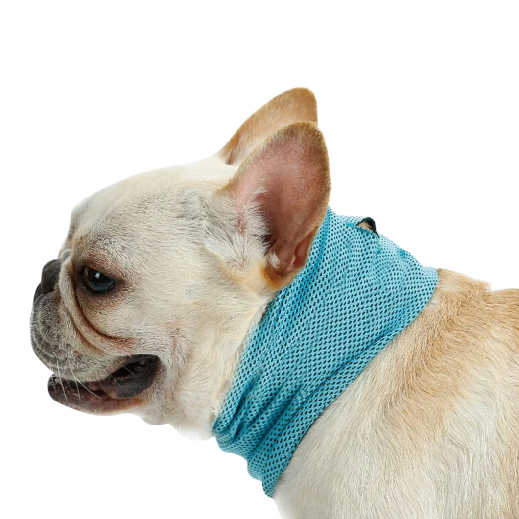 PetLab Dog Cooling Bandana