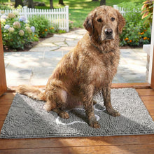 Load image into Gallery viewer, PetLab Grubby Paw Doormat - Traps Dirt Instantly (Ultra Absorbent Microfibre Chenille)