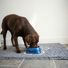 Load image into Gallery viewer, PetLab Grubby Paw Doormat - Traps Dirt Instantly (Ultra Absorbent Microfibre Chenille)