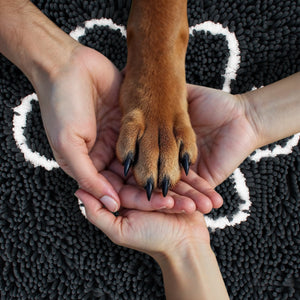 PetLab Grubby Paw Doormat - Traps Dirt Instantly (Ultra Absorbent Microfibre Chenille)